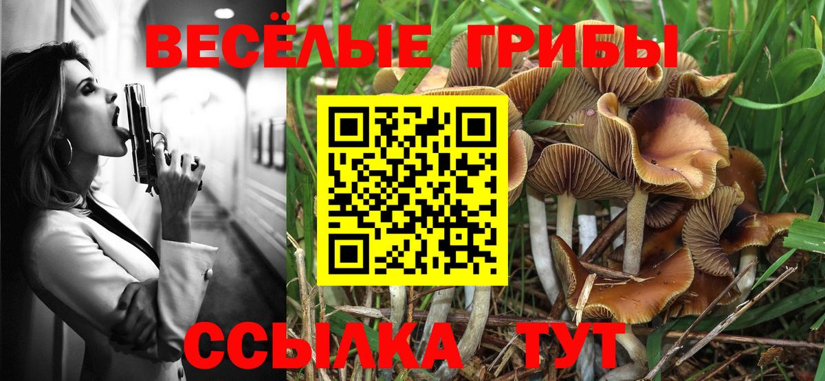 Псилоцибиновые грибы Magic Shrooms  Вход с VPN  Псилоцибиновые грибы мухоморы  Балашов 